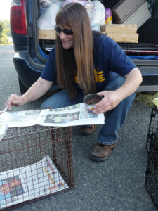 pam-halbers1 Pam Halbers Cat Trapping 101