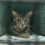 sliderImage1